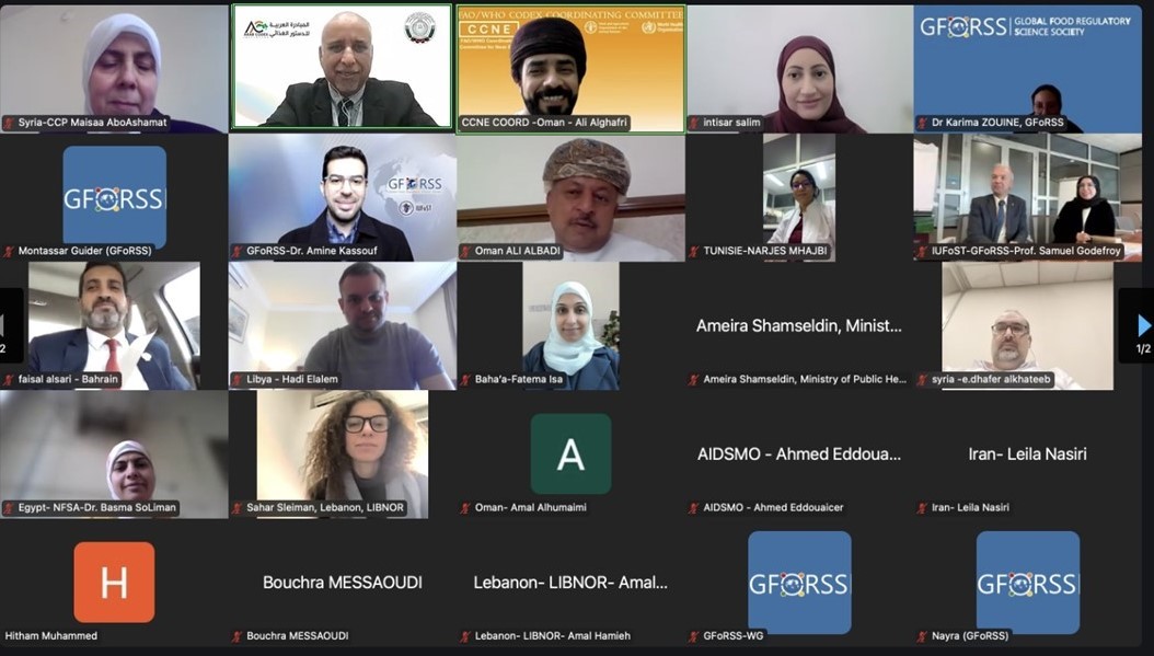  الاجتماع الثالث والثلاثون لنقاط اتصال الدول العربية في هيئة الدستور الغذائي 