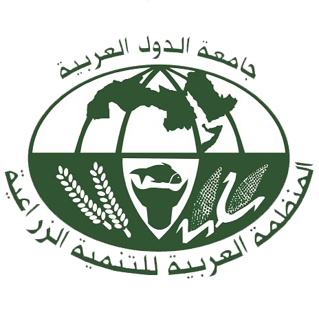 logo 6