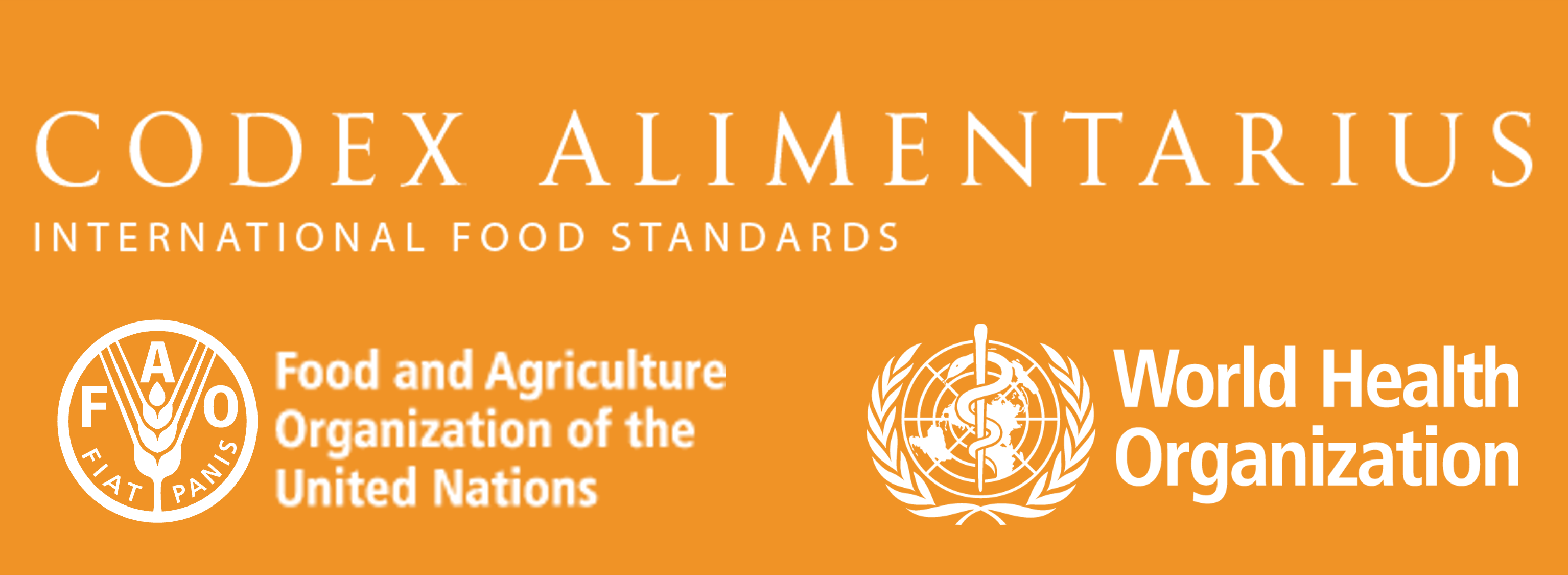 logo 6